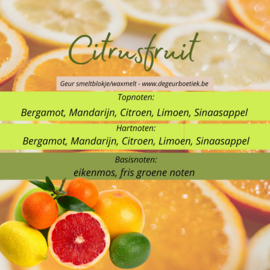 Geur smeltblokje - Citrus Fruits