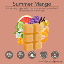 6-pack geur smeltblokjes - Summer Mango