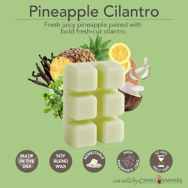 CandleWarmers geurblokjes - Pineapple Cilantro