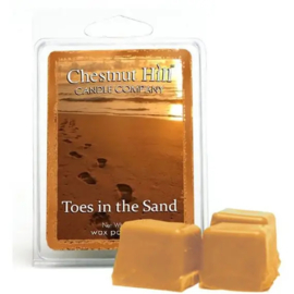 6-pack geur smeltblokjes - Toes in the Sand