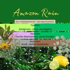 Geur smeltblokje - Amazon Rain
