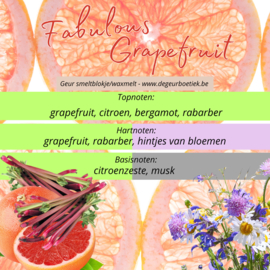 Geur smeltblokje - Fabulous Grapefruit