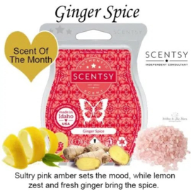 8-pack geur smeltblokjes - Ginger Spice