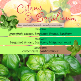 Geur smeltblokje - Citrus & Basilicum