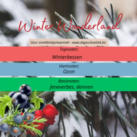 Geur smeltblokje - Winter Wonderland
