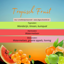 Geur smeltblokje - Tropisch Fruit