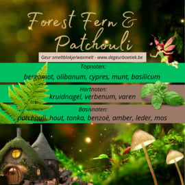 Geur smeltblokje - Forest Fern & Patchouli