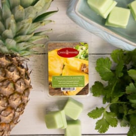 6-pack geur smeltblokjes - Pineapple Cilantro