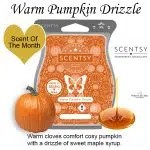 8-pack geur smeltblokjes - Warm Pumpkin Drizzle