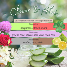 Geur smeltblokje - Clover & Aloë