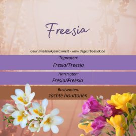 Geur smeltblokje - Freesia