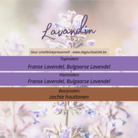 Geur smeltblokje - Lavendel-Lavandin