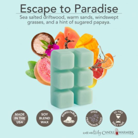 6-pack geur smeltblokjes - Escape to Paradise