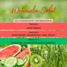 Geur smeltblokje - Watermelon Sorbet