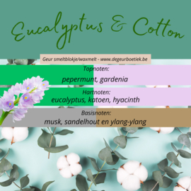 Geur smeltblokje - Eucalyptus & Cotton