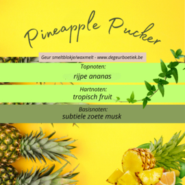 Geur smeltblokje - Pineapple Pucker