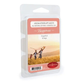 6-pack geur smeltblokjes - Happiness