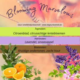 Geur smeltblokje - Blooming Marvelous