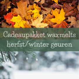 Cadeaupakket waxmelts - herfst/winter geuren