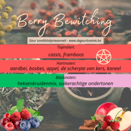 Geur smeltblokje - Berry Bewitching