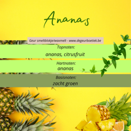 Geur smeltblokje - Ananas