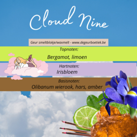 Geur smeltblokje - Cloud Nine