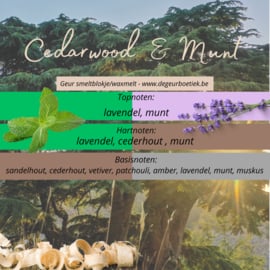Geur smeltblokje - Cedarwood & Munt
