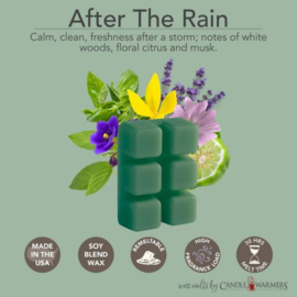 6-pack geur smeltblokjes - After the Rain