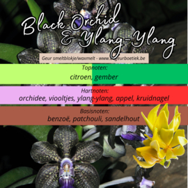 Geur smeltblokje - Black Orchid & Ylang-Ylang