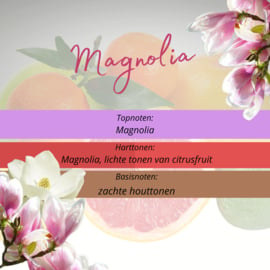 Geur smeltblokje - Magnolia