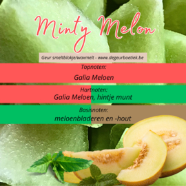 Geur smeltblokje - Minty Melon