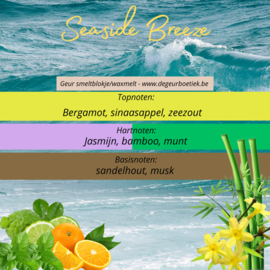 Geur smeltblokje -  Seaside Breeze