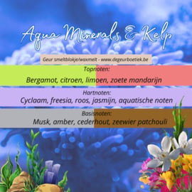 Geur smeltblokje - Aqua Minerals & Kelp
