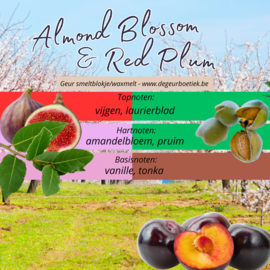 Geur smeltblokje - Almond Blossom & Red Plum