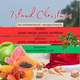 Geur smeltblokje - Island Christmas