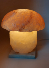 Paddenstoel Himalayazout lamp