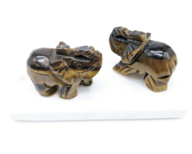 Tijgeroog Olifant (zie filmpje)