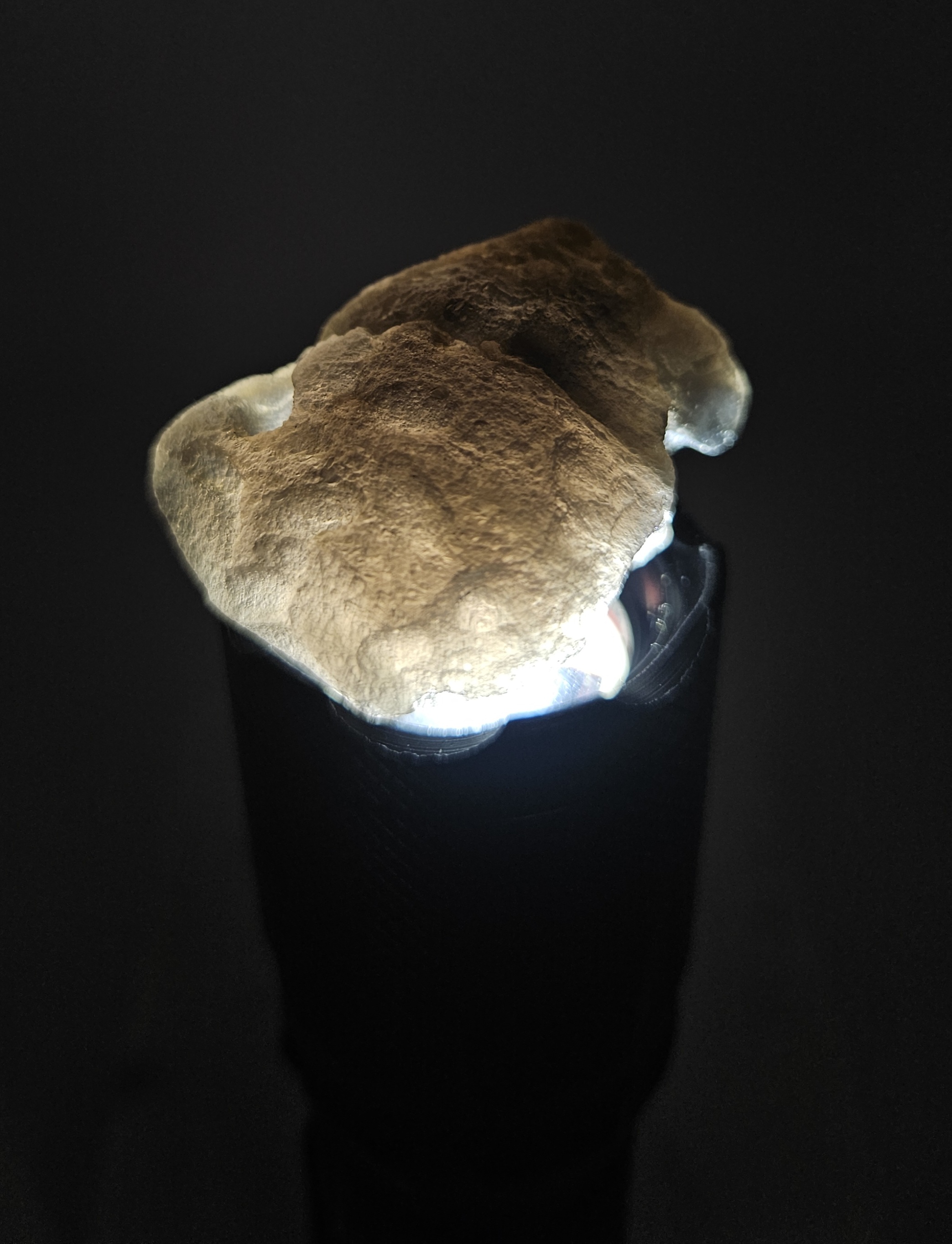 Agni Manitite