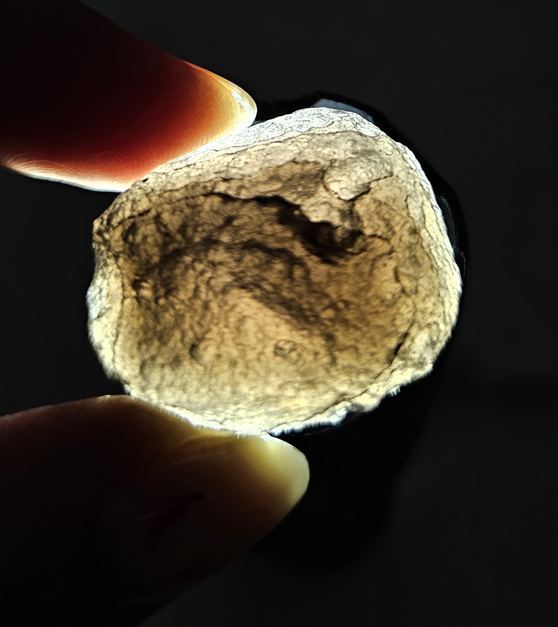Agni Manitite