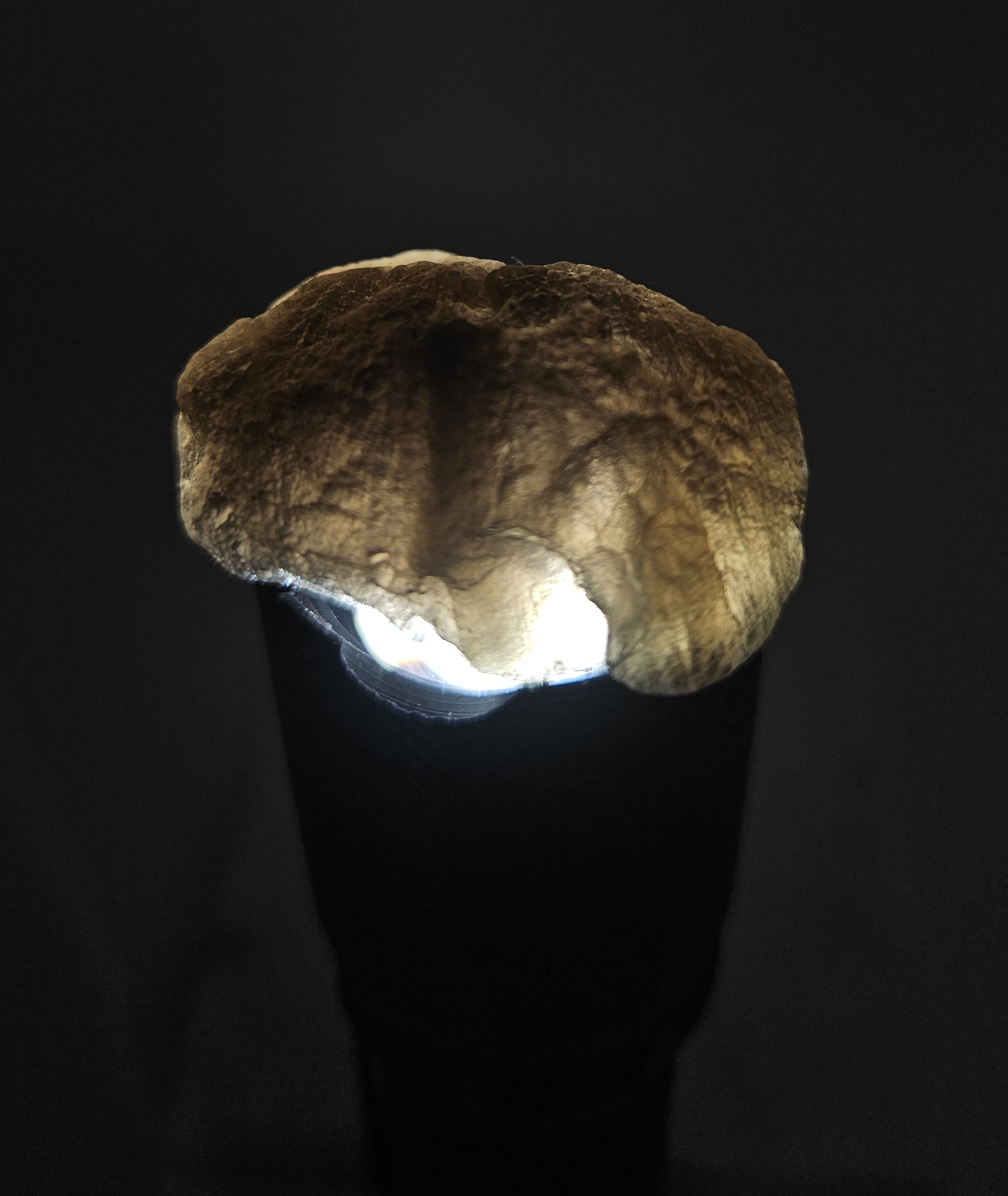 Agni Manitite