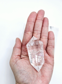 Phi Vogel kristal 12 zijdig
