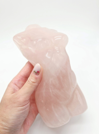 Rozekwarts lichaam vrouw 1,581kg! / Woman Body XL (Interieurstuk) zie filmpje