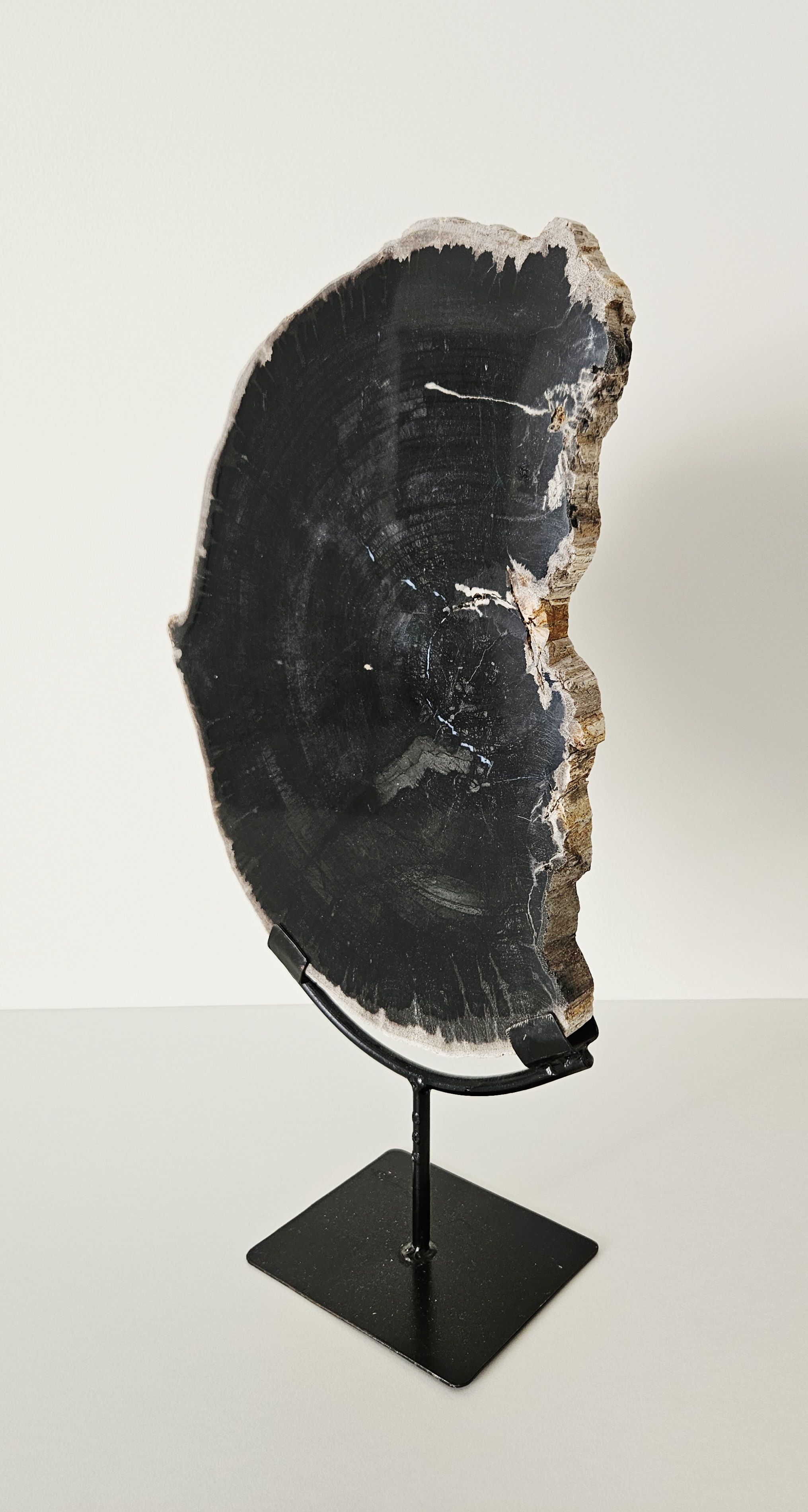 Versteend hout op standaard 2,808kg (Interieurstuk) zie filmpje