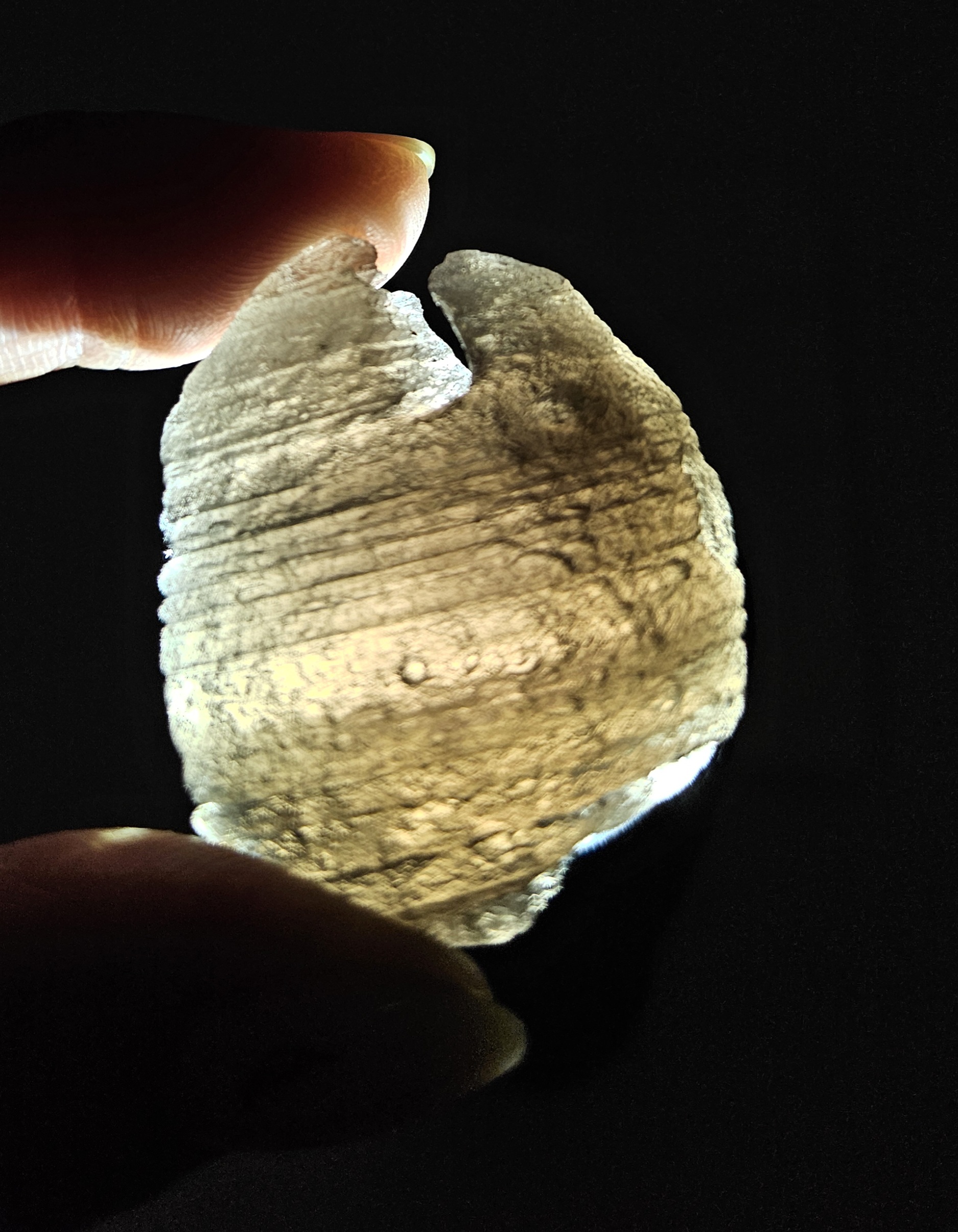 Agni Manitite