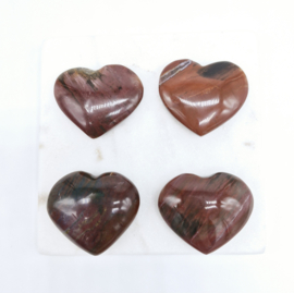 Versteend Hout Hart