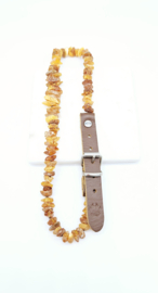 Barnsteen honden halsband 40-45cm (L)