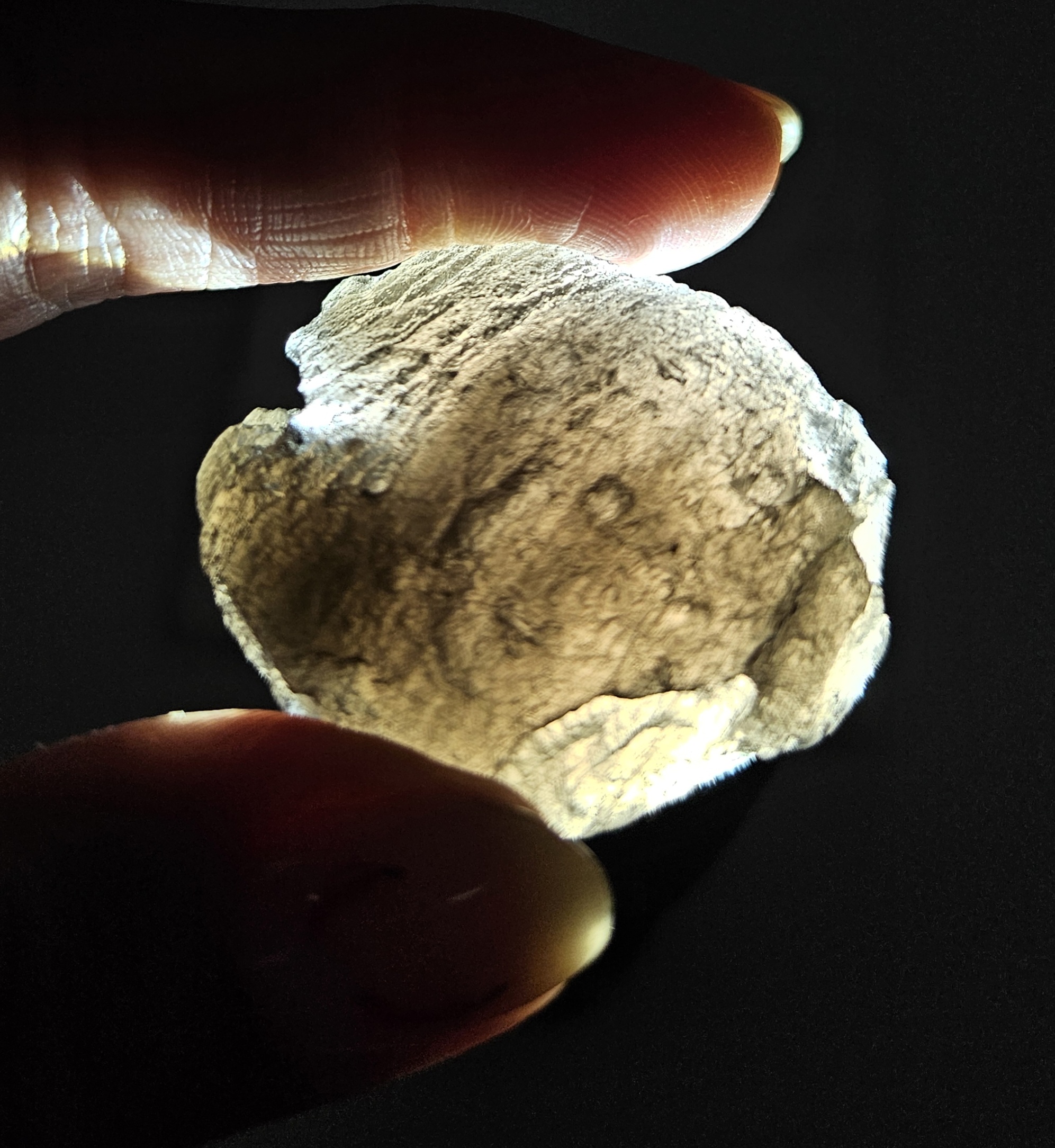 Agni Manitite