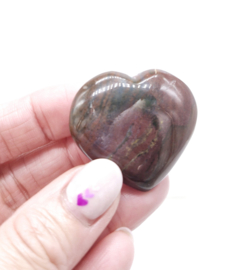 Versteend Hout Hart