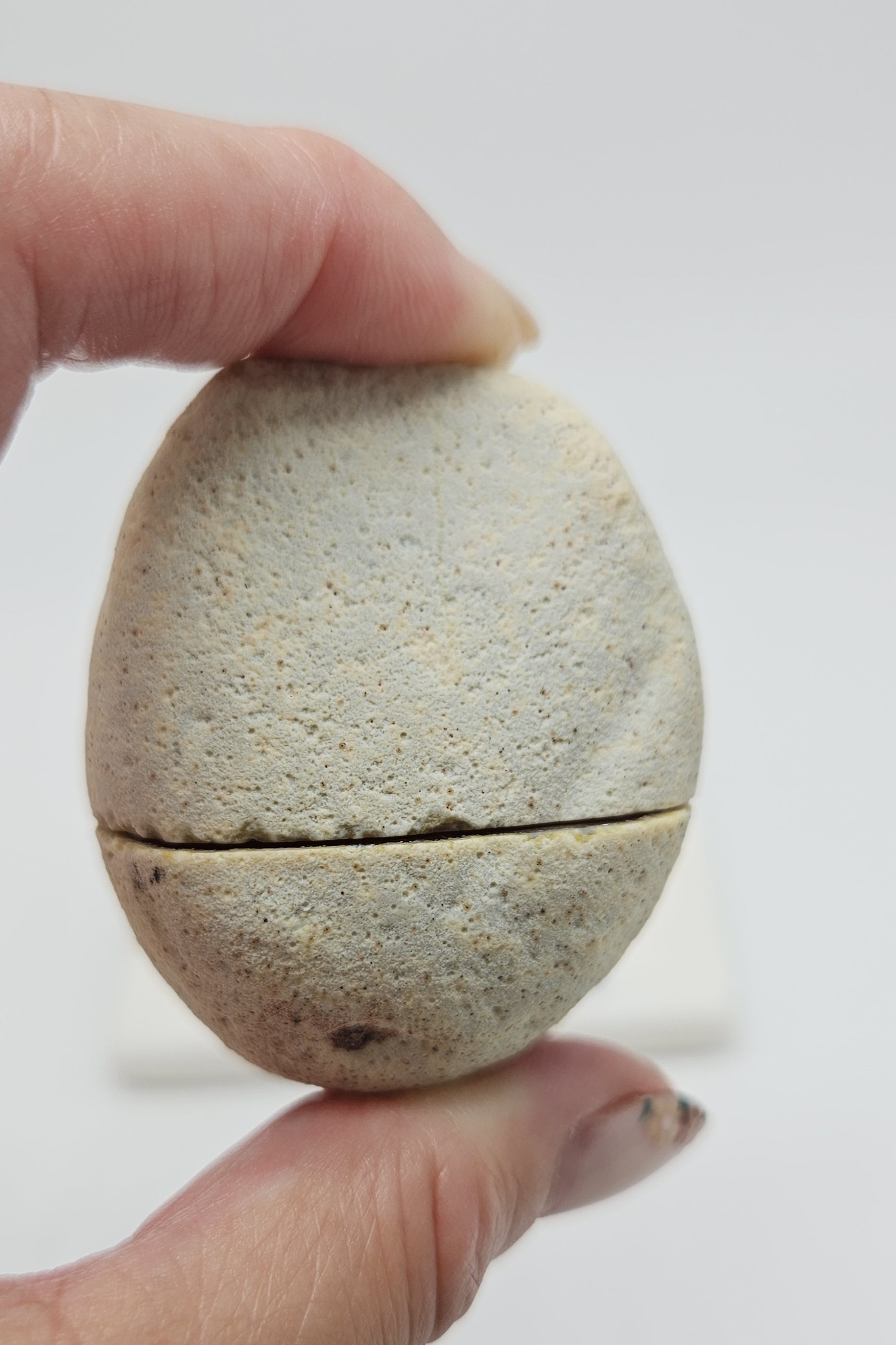 Druzy Agaat Geode