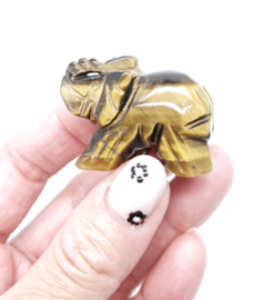 Tijgeroog Olifant (zie filmpje)